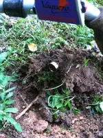 photo (2).webp