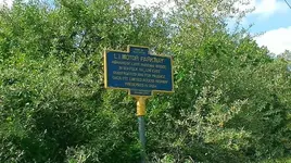 motor pkwy 1.webp