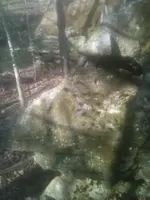 IMG_0527.webp IMG_0527.webp