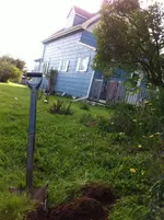 photo 4(10).webp