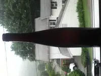image-3713579384.webp