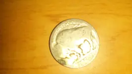 buffilo nickle front.webp
