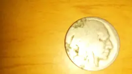 front of buffilo nickle.webp