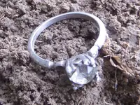 ring dirt.webp