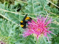 DSCN3086.webp
