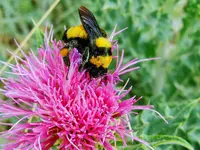 DSCN3299.webp