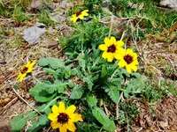 FSCN3250.webp