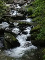 10390973_675109365876506_4860137960973804431_n.webp