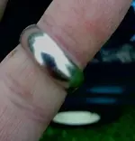 ring 2.webp