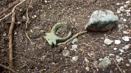 IMGP1590.webp