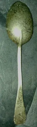 spoon1.webp