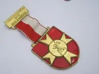 MedalFraternal.webp