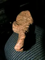 DSCF2129.webp