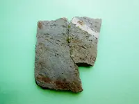 DSCN1406.webp