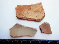 DSCN1372.webp