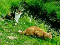 FSCN6694.webp