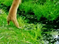 FSCN6692.webp FSCN6692.webp