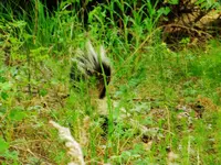 DSCN4659.webp