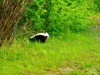DSCN4664.webp