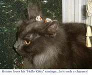 DSCF2946.webp
