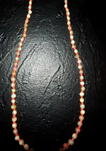 DSCN5013.webp