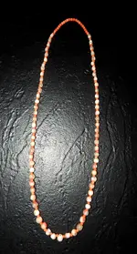 DSCN5015.webp