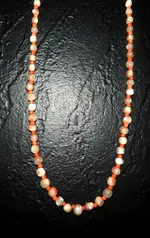 DSCN5016.webp