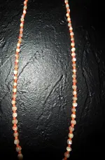 DSCN5017.webp
