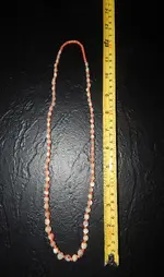 DSCN5019.webp