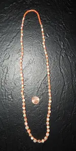 DSCN5023.webp