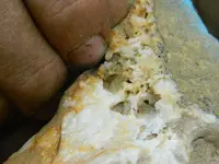 DSCN0408.webp