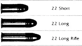 22 bullets.webp