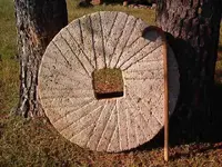 Picture.webp