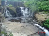 arrowhead hunting.webp