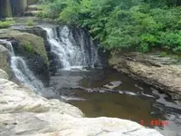 arrowhead hunting 2.webp