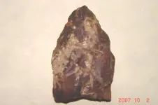 paleo1.webp