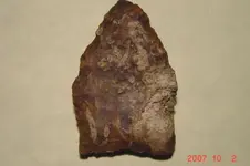 paleo2.webp