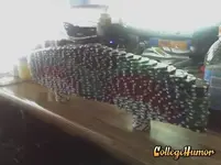 Poke Chip Bridge.webp
