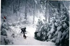 Snow play 001 (350 x 232).webp