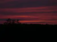 nysunset11.webp
