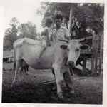 jbmcowrider (3).webp