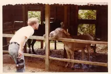 Talking with the donkey in Okinawa (1974).webp