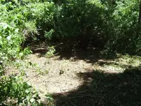 DSCF1110.webp
