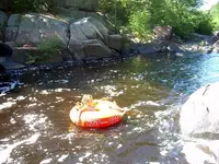 riding the rapids.webp