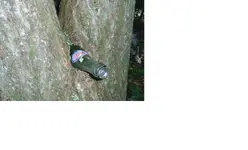 S3010027.webp