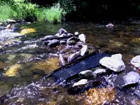 016.webp