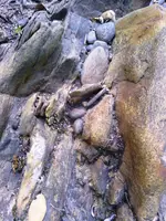 010.webp