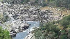 100_4009.webp