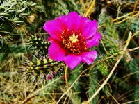 FSCN4473.webp