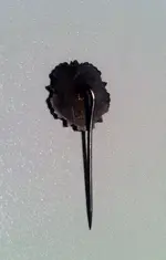 t (4).webp